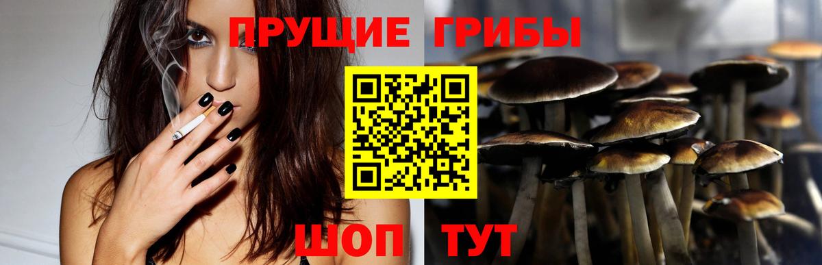 Галлюциногенные грибы GOLDEN TEACHER  Псилоцибиновые грибы Psilocybine cubensis  Вход с VPN  Великие Луки 